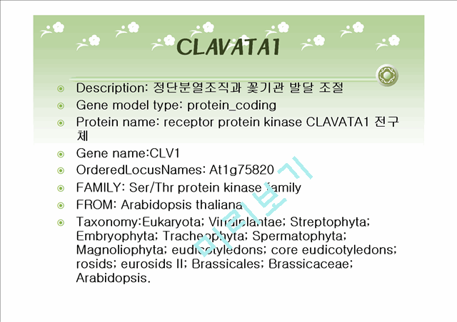 Clavata1   (2 )