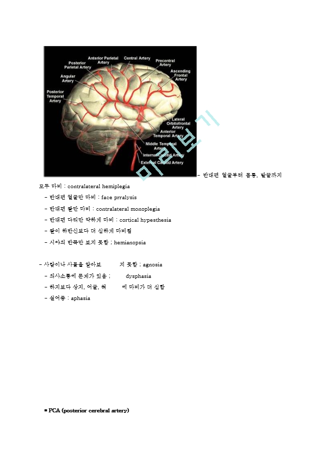 뇌출혈stroke   (9 )