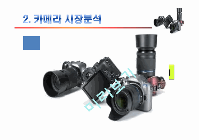 삼성카메라,삼성카메라마케팅전략,삼성카메라분석,카메라시장분석,DSLR카메라시장   (8 )