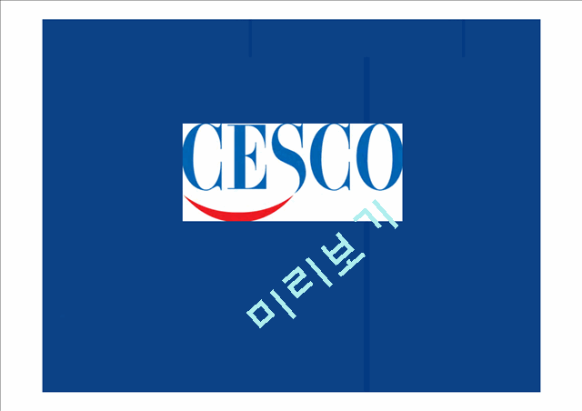 세스코,세스코마케팅전략,세스코분석,CESCO마케팅전략,CESCO분석   (1 )