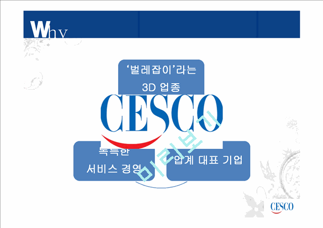 세스코,세스코마케팅전략,세스코분석,CESCO마케팅전략,CESCO분석   (3 )